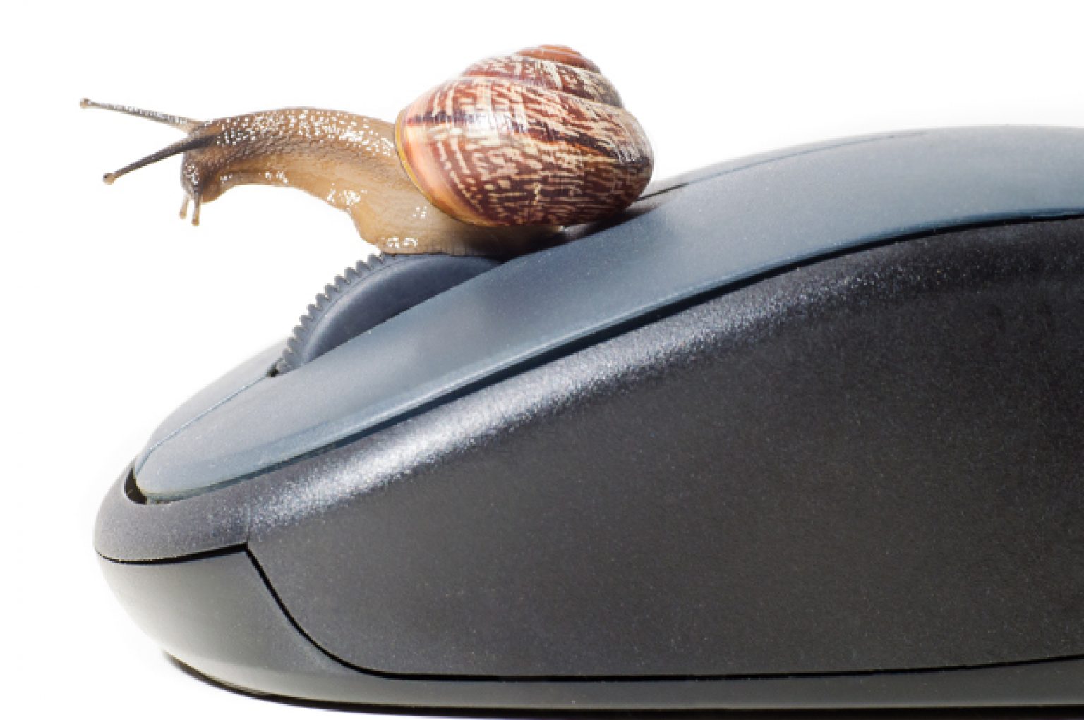 Why is my mouse so slow all of a sudden? [FIXES] - TechReviewTeam